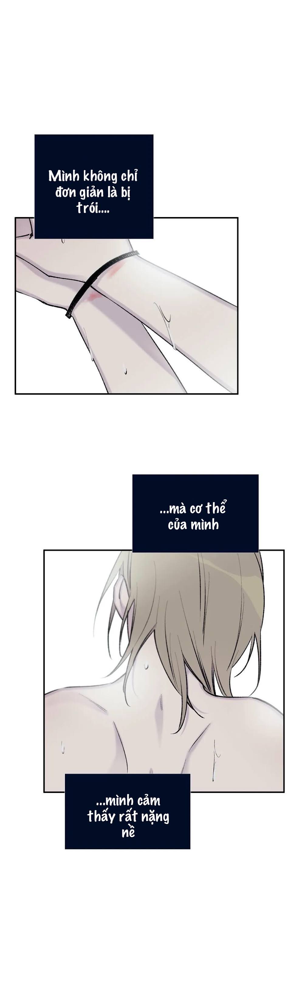 đừng viết nữa, tác giả thân mến! chapter 49 19