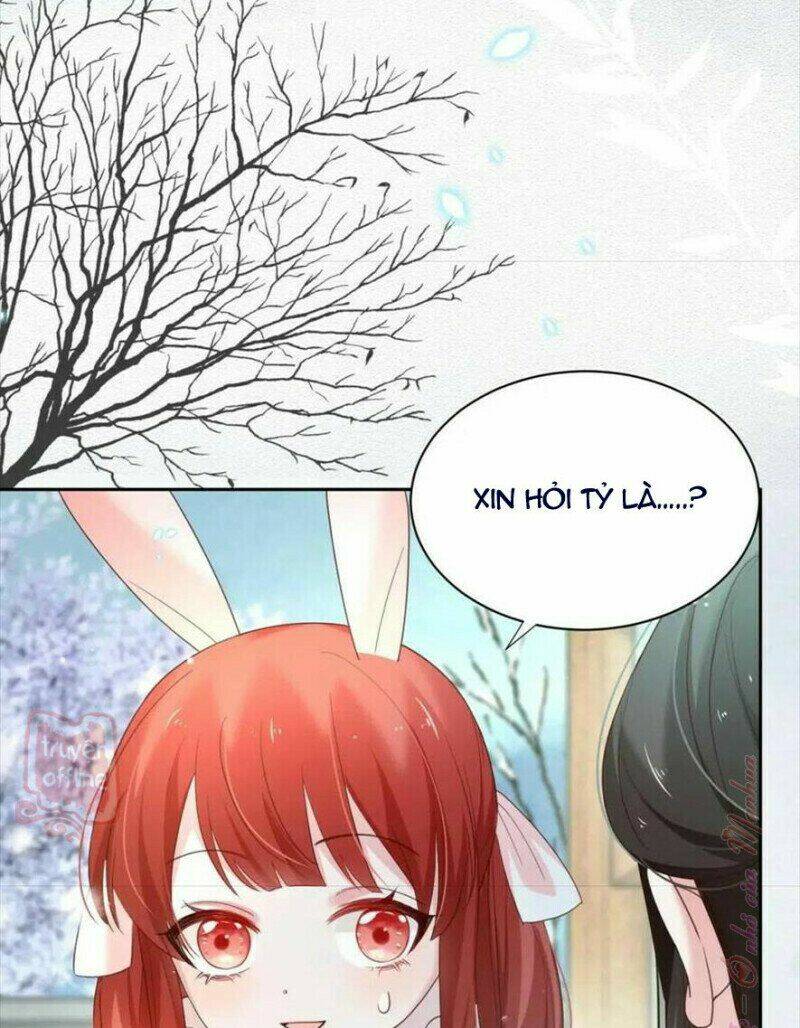 hắc hóa nam chính trực tuyến nuôi thỏ chapter 55 25