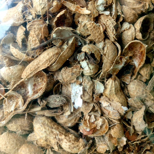 TÚI 300 GRAM - GIÁ THỂ VỎ ĐẬU PHỘNG TRỒNG PHONG LAN - GIỮ ẨM - TĂNG ĐỘ THOÁNG KHÍ - PHÂN HỦY CUNG CẤP ĐẠM CHO CÂY TRỒNG