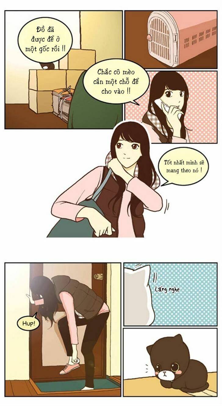 papi nyang chapter 16 6