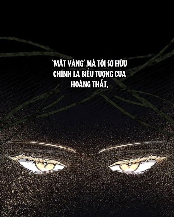 Thời Đại Của Oman chapter 4.1 53