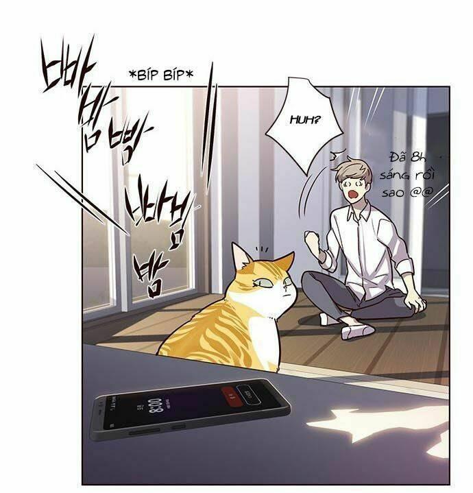 biến thân thành mèo chapter 9 11