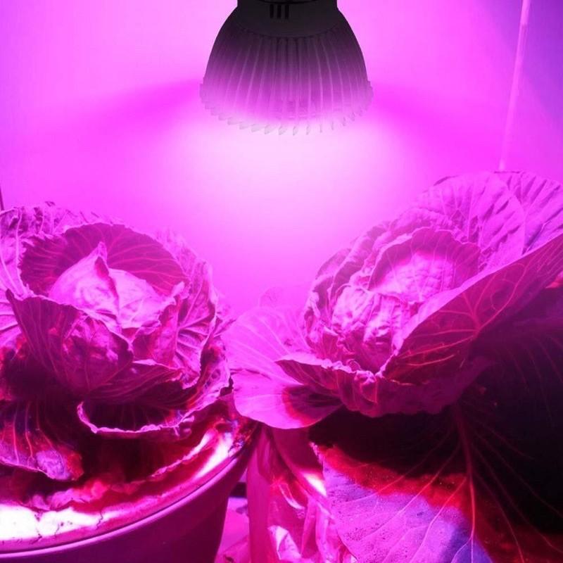ĐÈN LED TRỒNG CÂY, TRỒNG RAU TRONG NHÀ 28W - LOẠI TỐT