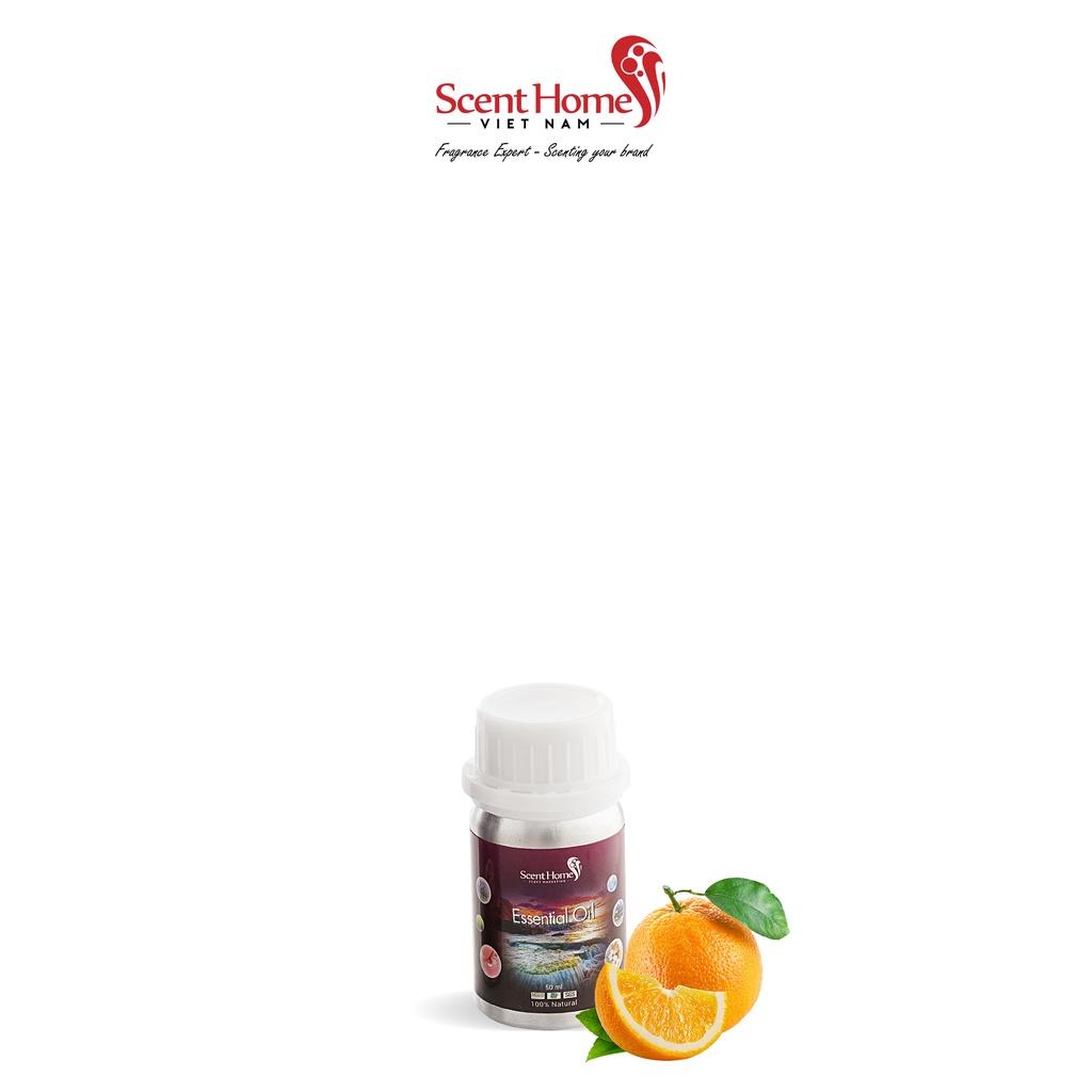 Tinh dầu Scent Homes - mùi hương (Sweet Orange)