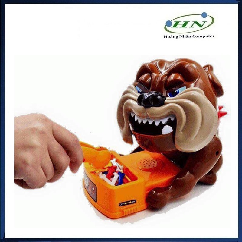CHÓ GẶM XƯƠNG VUI NHỘN - HN