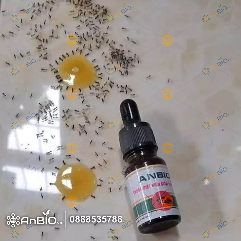 Thuốc diệt kiến gián sinh học ANBIO - 2 lọ 10ml