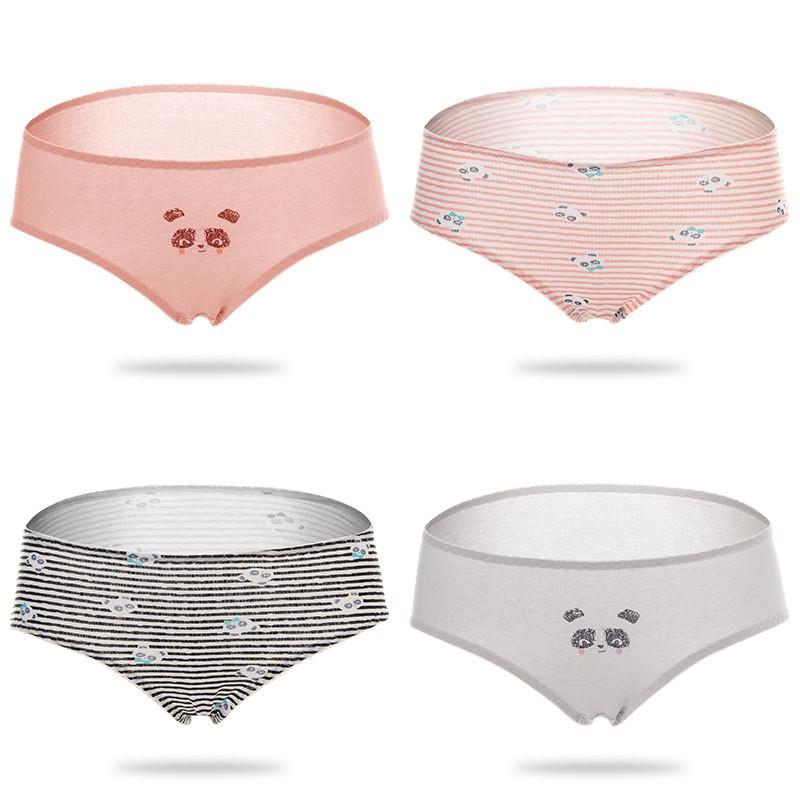 HỘP 04 QUẦN LÓT COTTON CHẤT ĐẸP