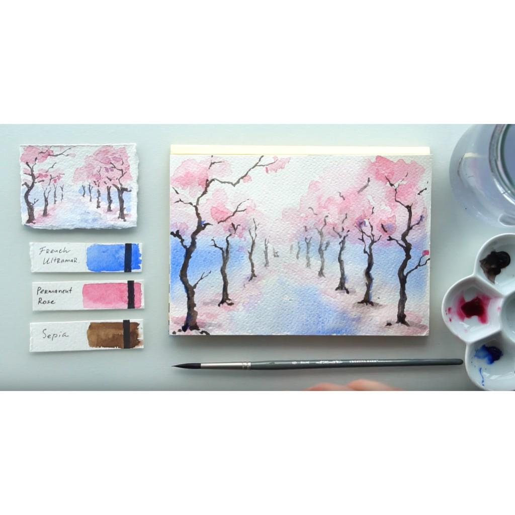 Sơn Acrylic Màu vẽ Đa Năng (6 màu) - 250ml - BOSTIK