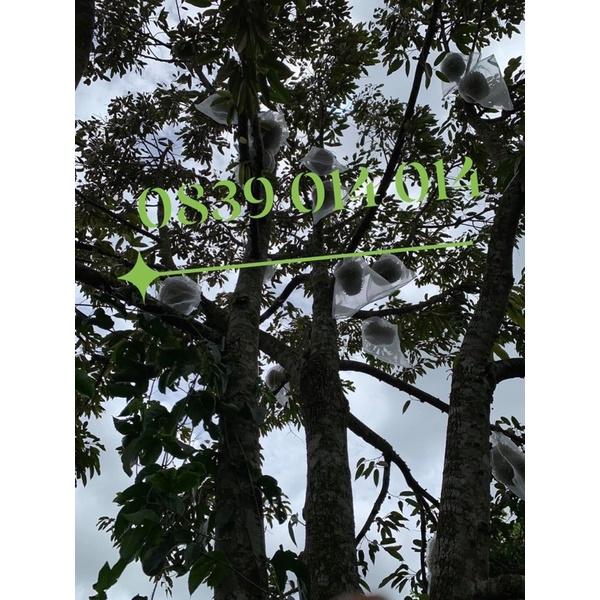 1 TÚI BỌC TRÁI SẦU RIÊNG CỠ 50x70cm CƯỚC THÁI