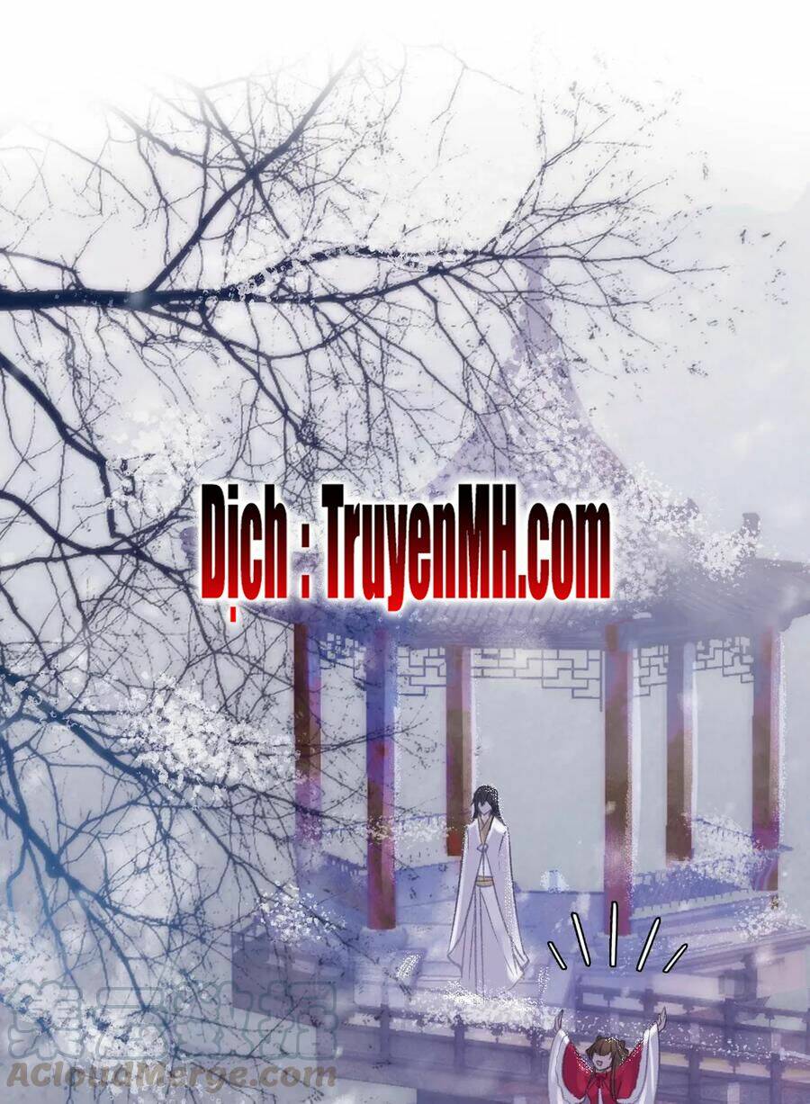 gả cho một tên thái giám đáng ghét chapter 160 11