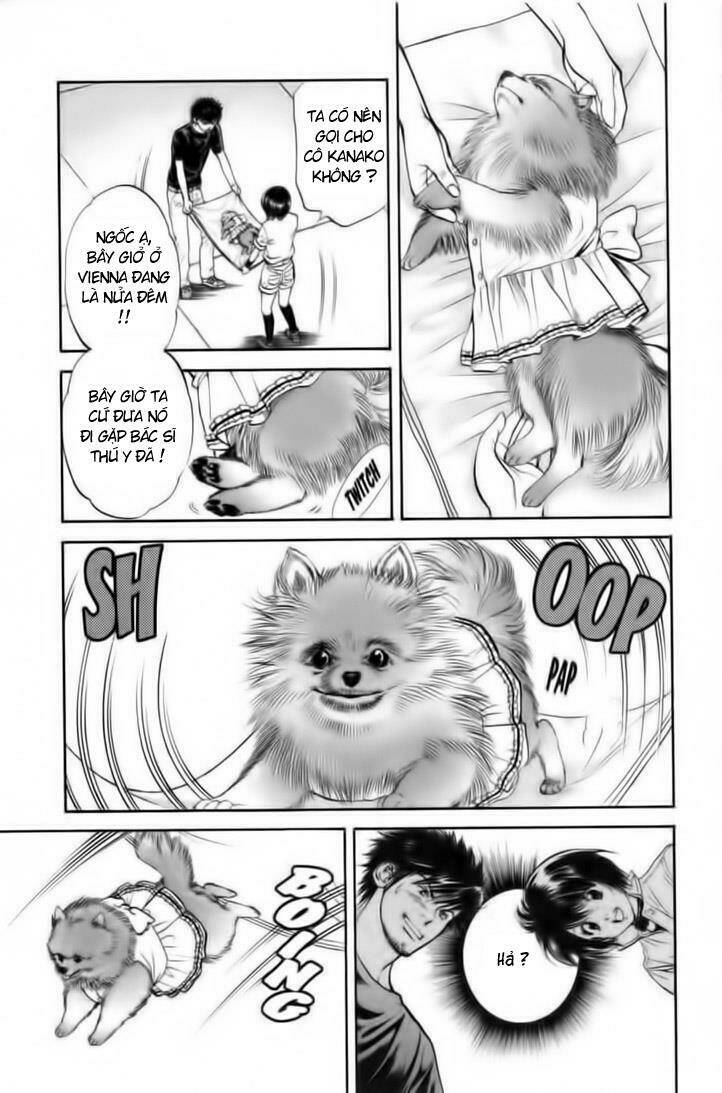 cô nàng yêu chó chapter 23 4