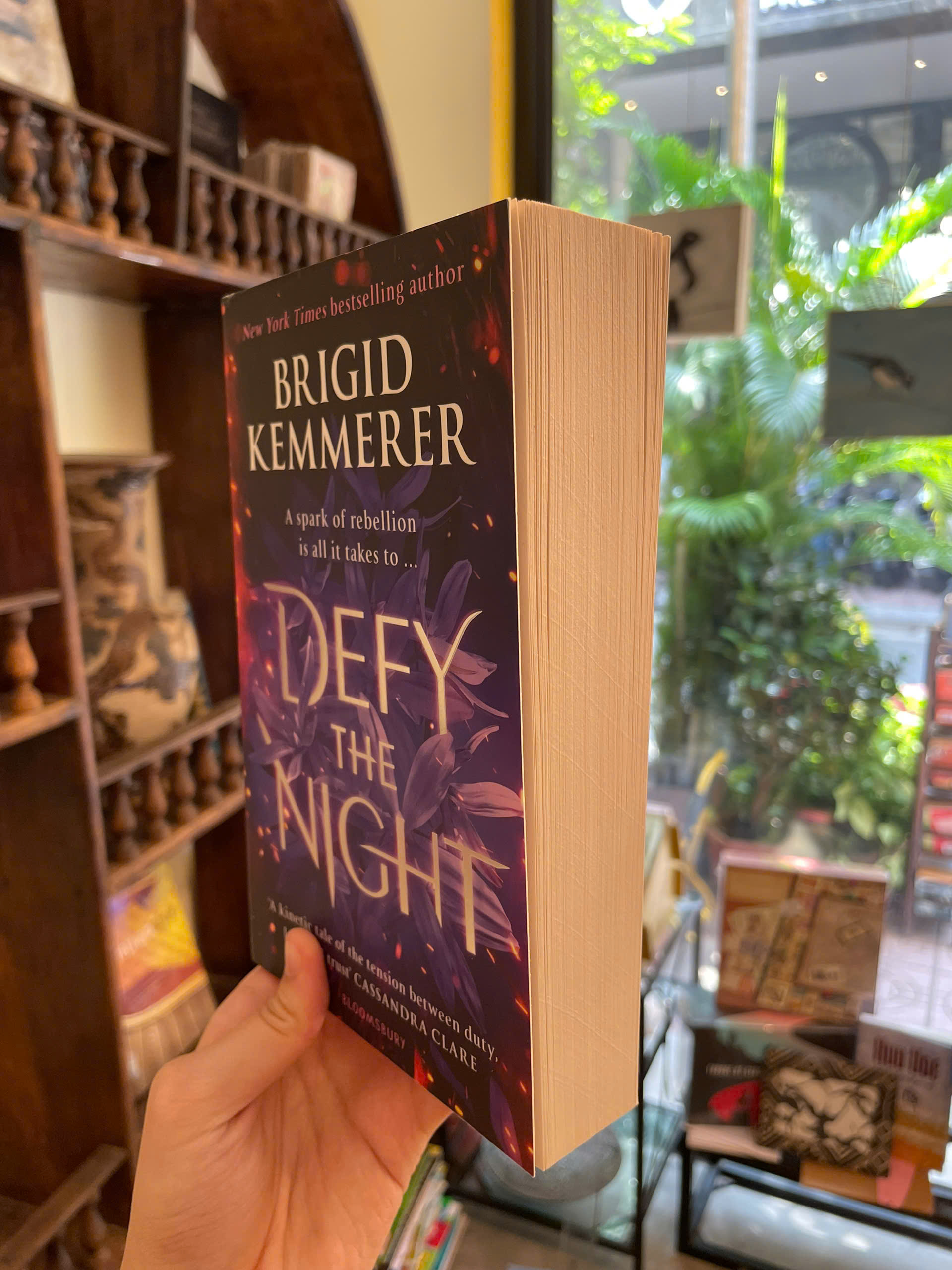 Sách - Defy the Night by Brigid Kemmerer - Fantasy/Young Adult/Romance book in English - Ngoại Văn