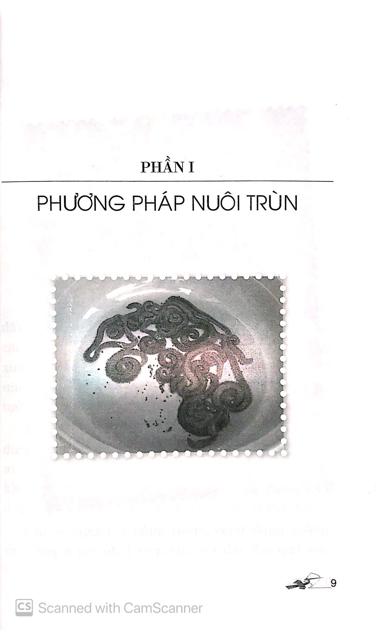 Kỹ Thuật Nuôi Trùn - Giòi Tạo Nguồn Thực Phẩm Bổ Dưỡng Cho Gia Cầm - Gia Súc - Vanlangbooks