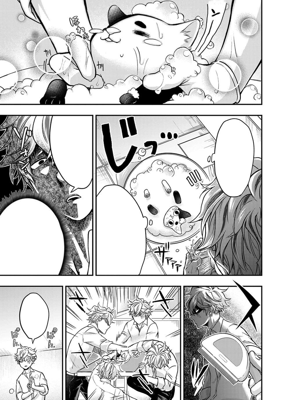 Ex-Yakuza And Stray Kitten 1 (English Edition)