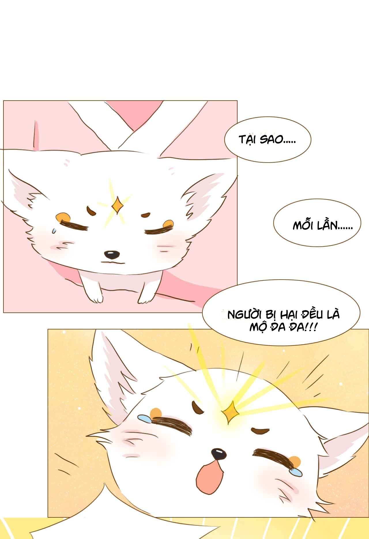 mẫu phi đuôi của người lộ ra rồi kìa chapter 51 1