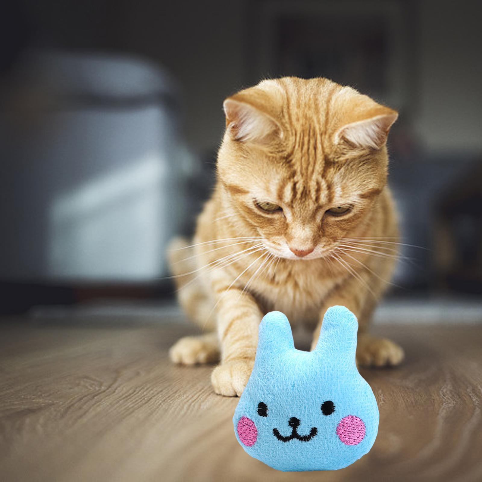 Cats Chew Toys Interactive Cat Toys Cat Pillows Catnip Toys for Indoor Cats