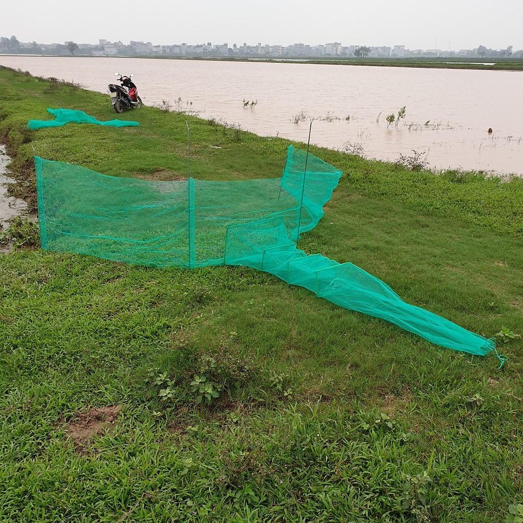 Hot Đăng chặn sông, cống - bắt tôm tép tất cả các loại cá - Dớn bắt cá, cua, lươn - Top1VN