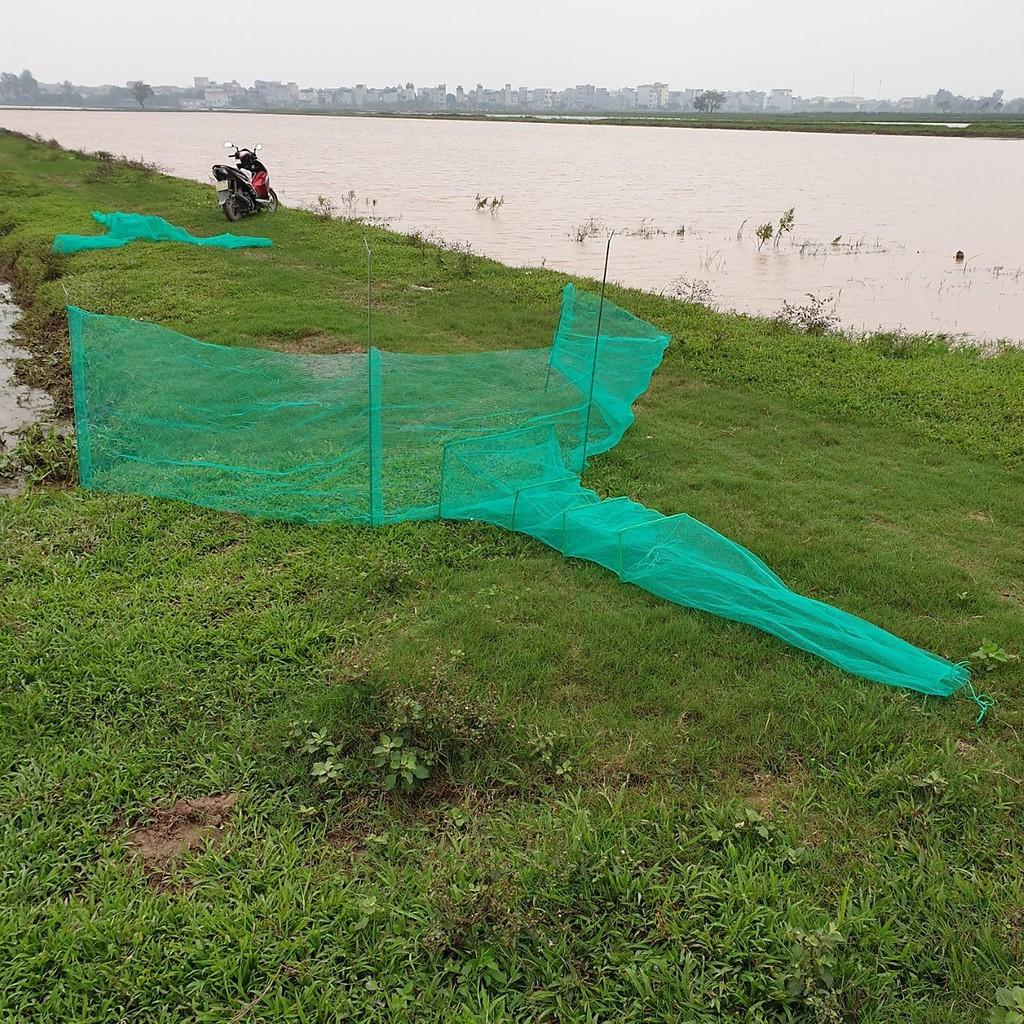 Đăng chặn sông, cống - bắt tôm tép tất cả các loại cá - Dớn bắt cá, cua, lươn