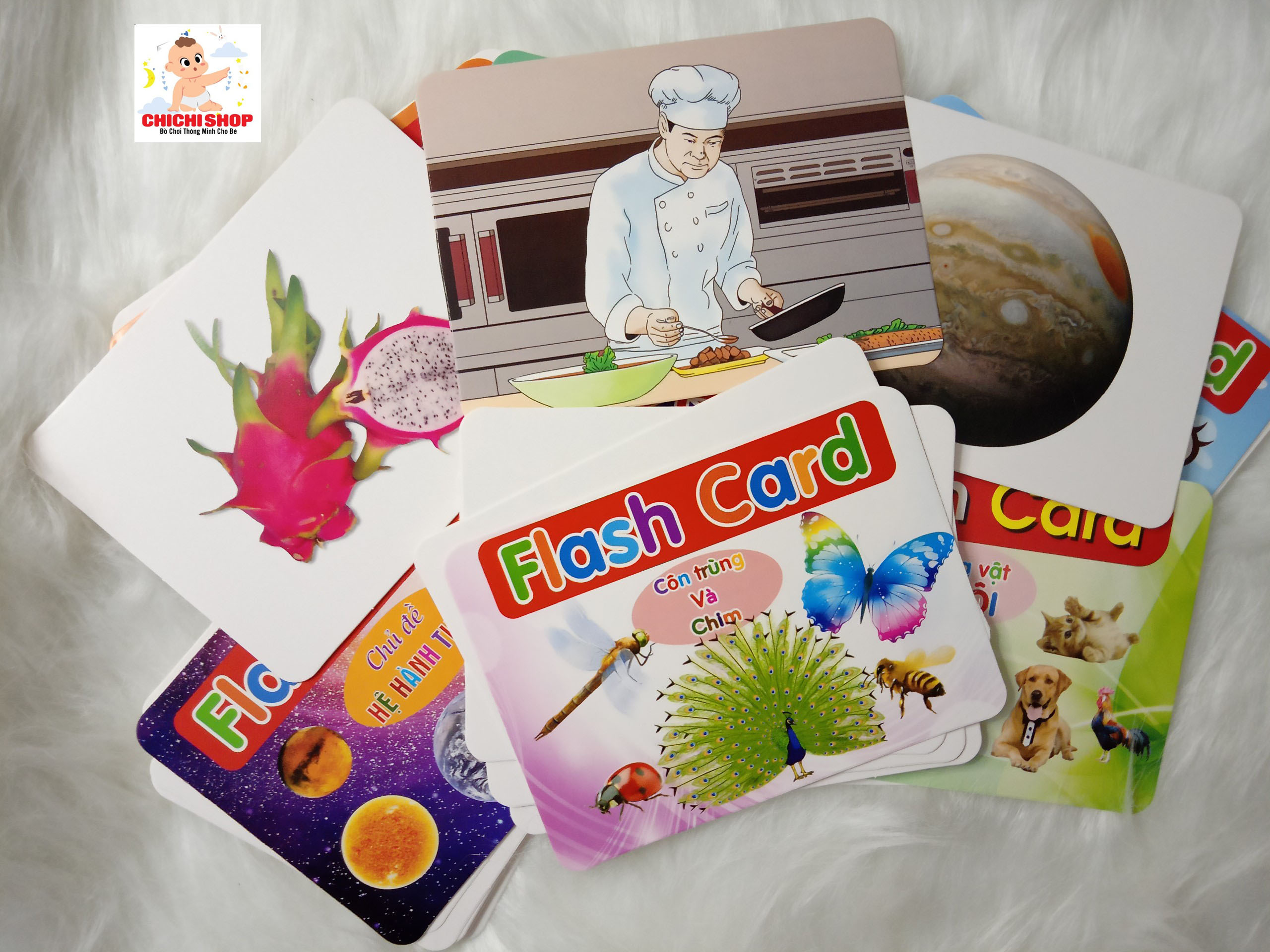 Flash card, Trọn Bộ 256 Thẻ Học Thông Minh 19 Chủ Đề Dạy Trẻ Về Thế Giới Xung Quanh