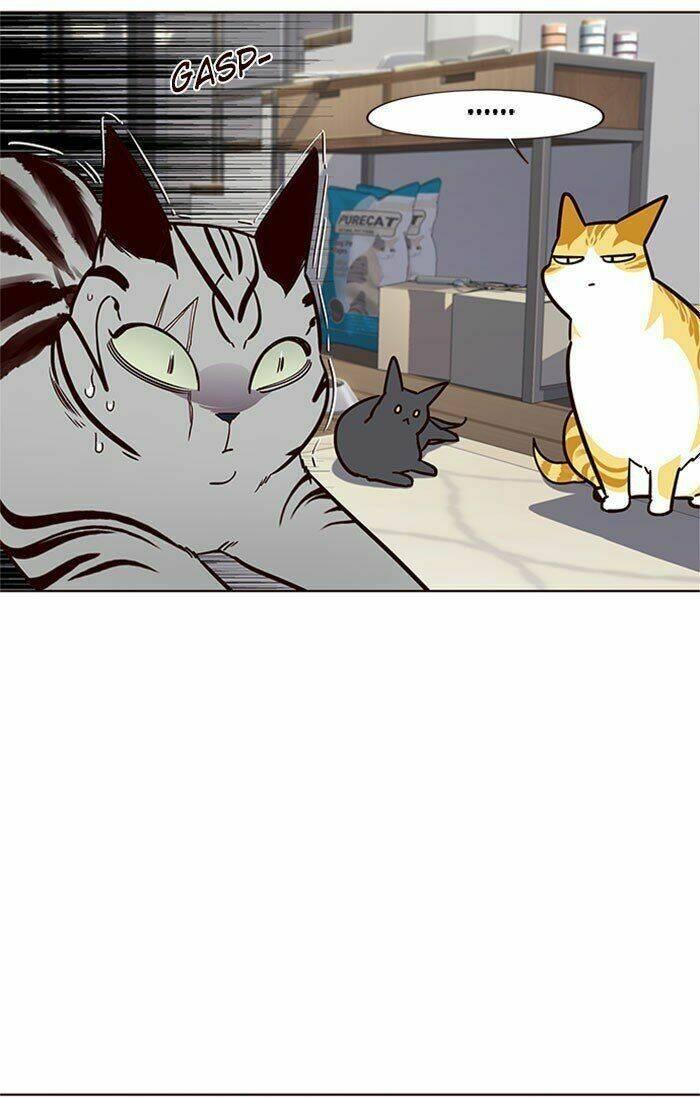 biến thân thành mèo chapter 37 42