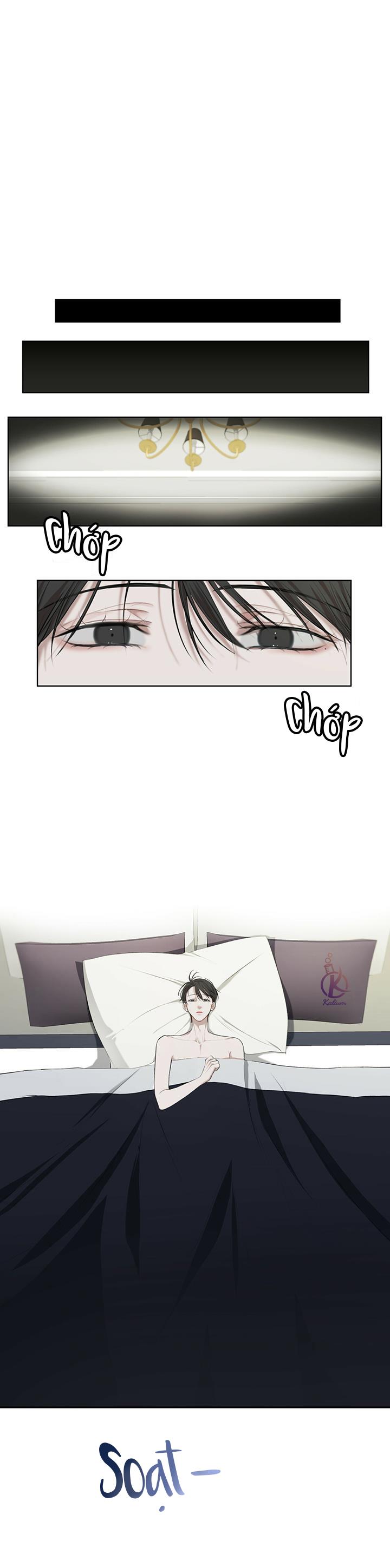 hình thái khởi sinh chapter 12 2