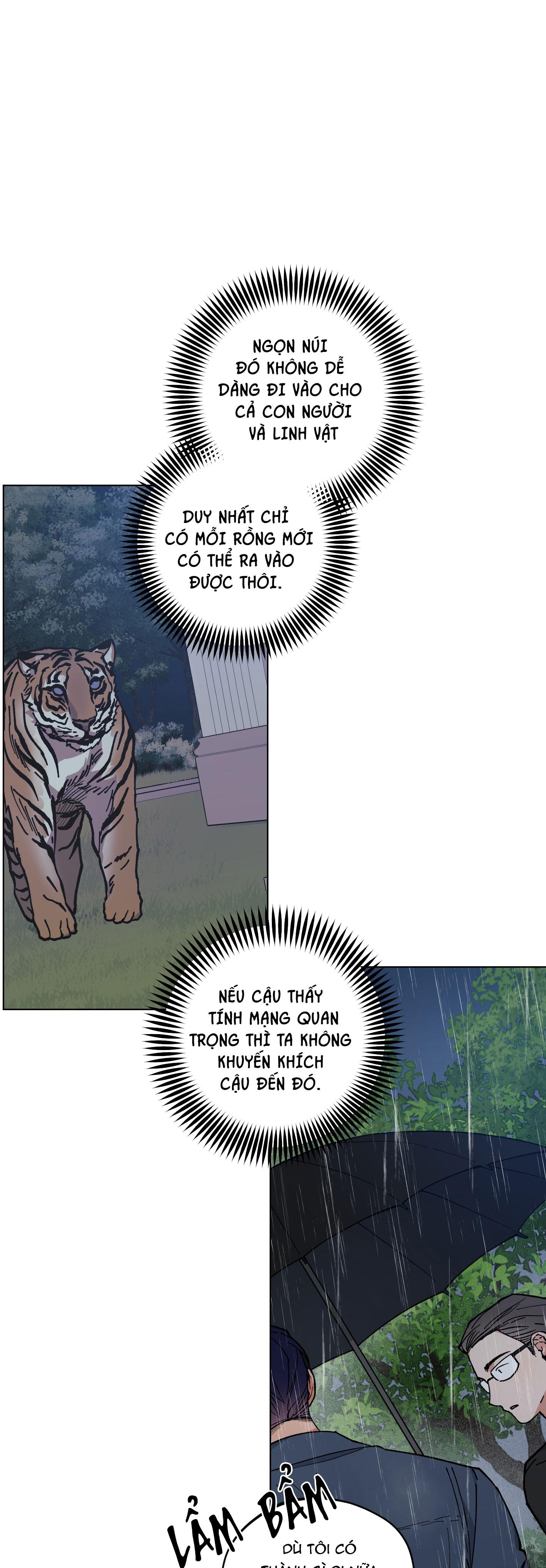 bình minh, mây và sông chapter 31 38