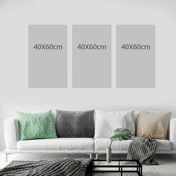 Bộ 3 Tranh Treo Tường Sắc Hoa - W257