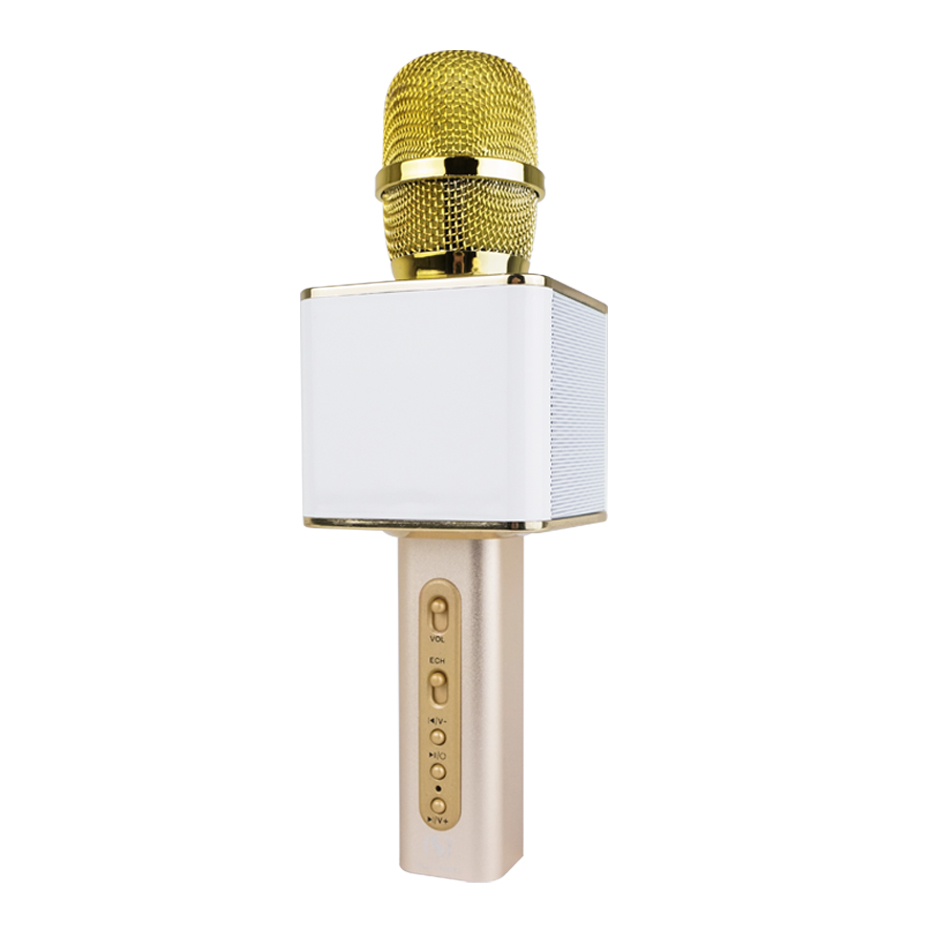 Micro Karaoke Bluetooth Chuyên Nghiệp Cho Giọng Hát Chất Lượng PKCB64 GOLD - Hàng Chính Hãng