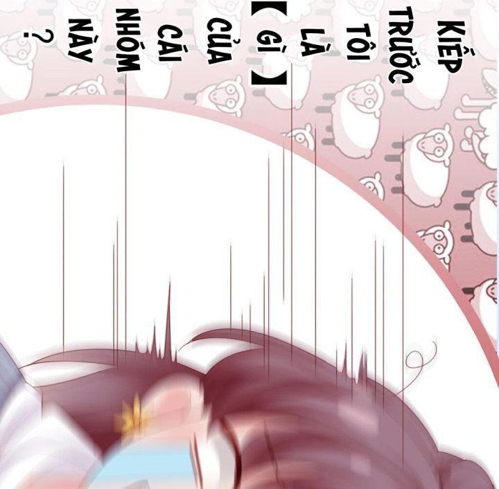 chiếc bật lửa và váy công chúa (b) chapter 13 91