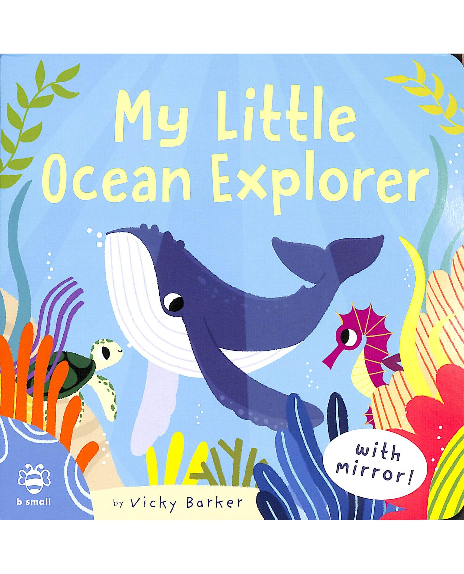 My Little Ocean Explorer: Mirror Book