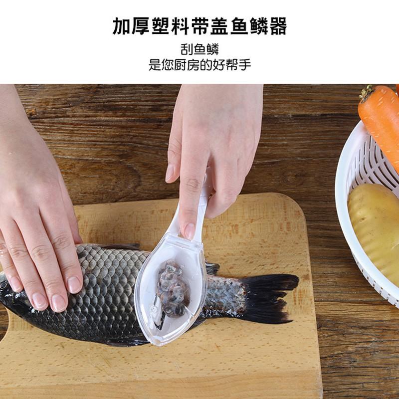 Dụng cụ đánh vảy cá có nắp đậy tiện lợi
