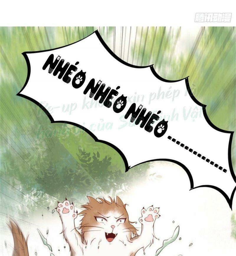 sát thủ vương phi không dễ chọc chapter 30 41