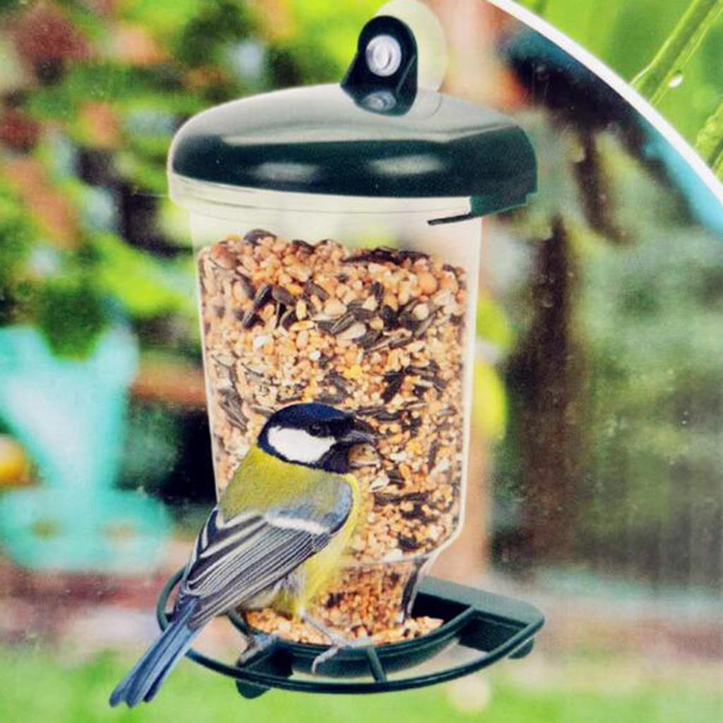Glass  Feeder Clear  Food Dispenser for  Birds Suction Cup