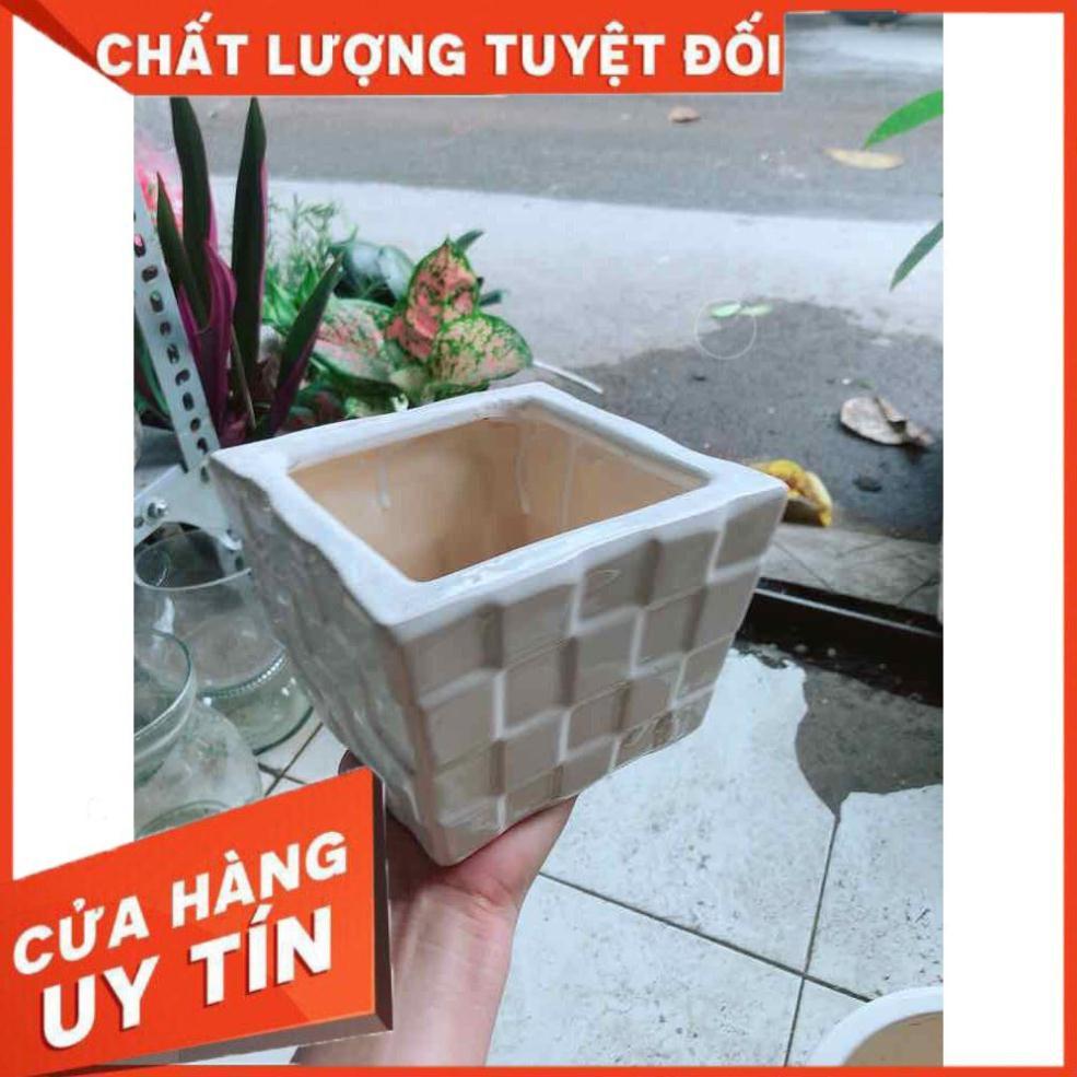 Chậu Trồng Cây Nhiều Người Mua