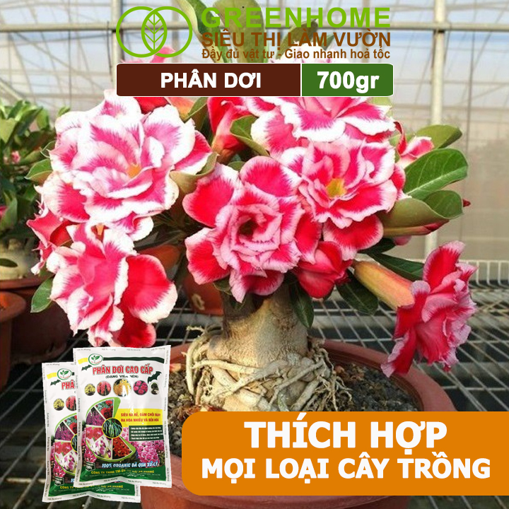 Phân Dơi Greenhome, Bao 700gr, Viên Nén, Đã Qua Xử Lý, Ra Rễ Mạnh, Hoa Nhiều, Tốt Cho Lan, Kiểng, Rau, Cây Ăn Trái