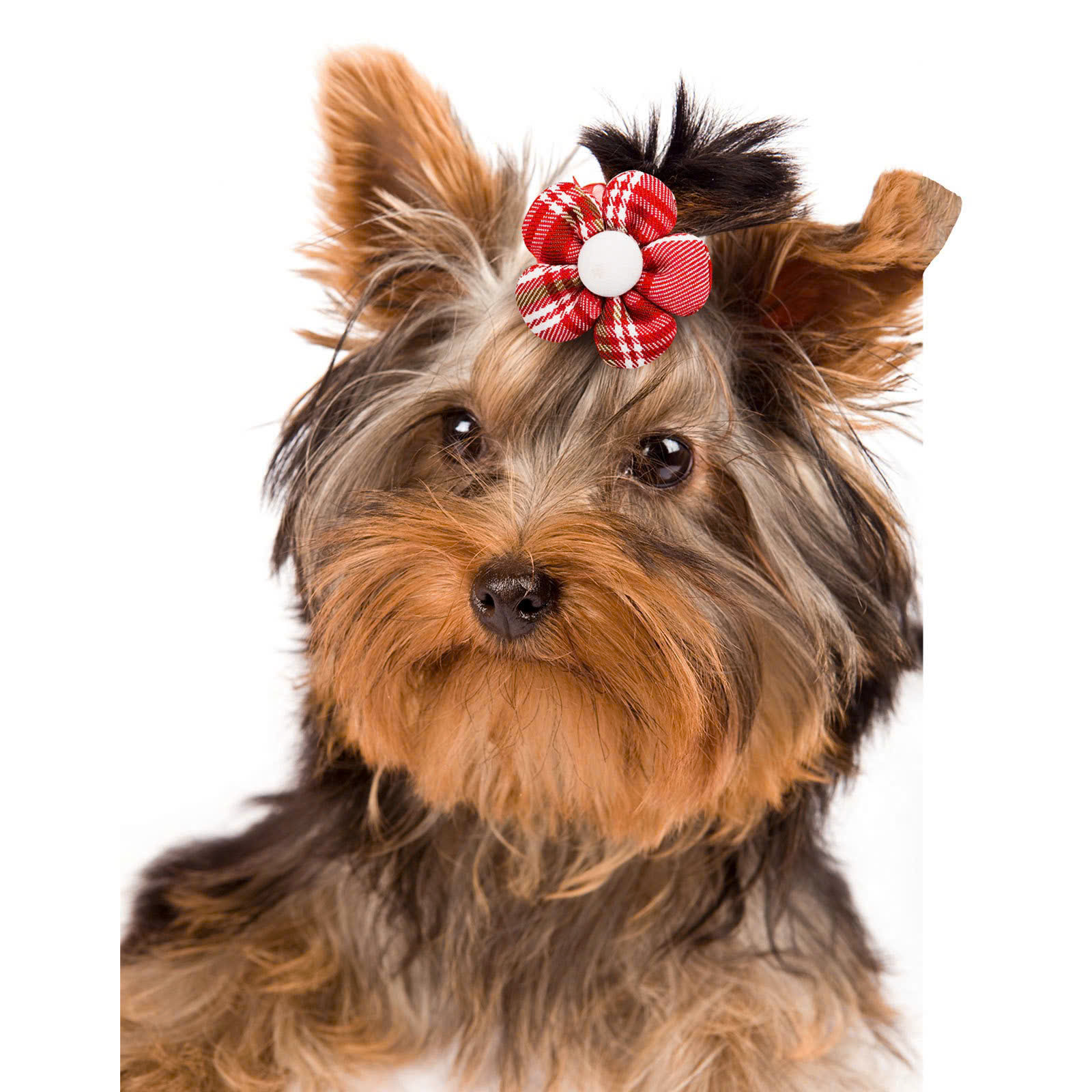 NƠ KẸP TÓC CÀI TÓC THỜI TRANG DỄ THƯƠNG HOA ĐỎ CÀI ĐẦU MÃ 29 CHO THÚ CƯNG CHÓ MÈO