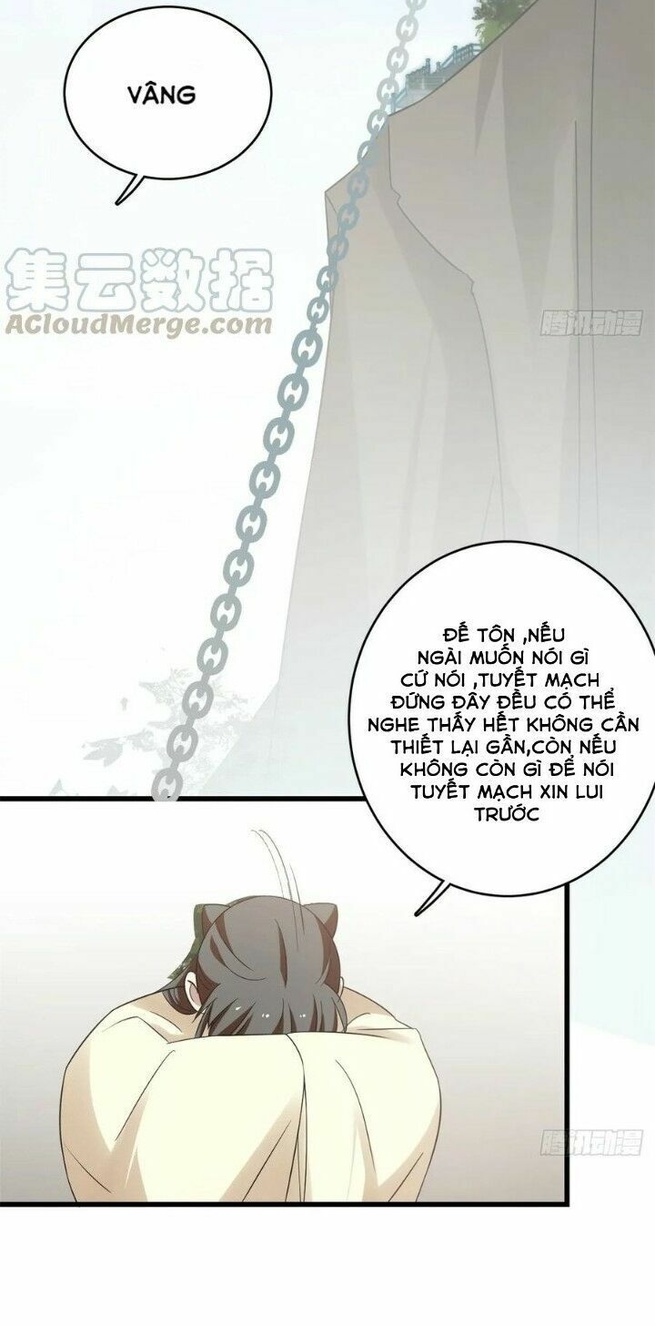 độc bộ thiên hạ: đặc công thần y chapter 201 14