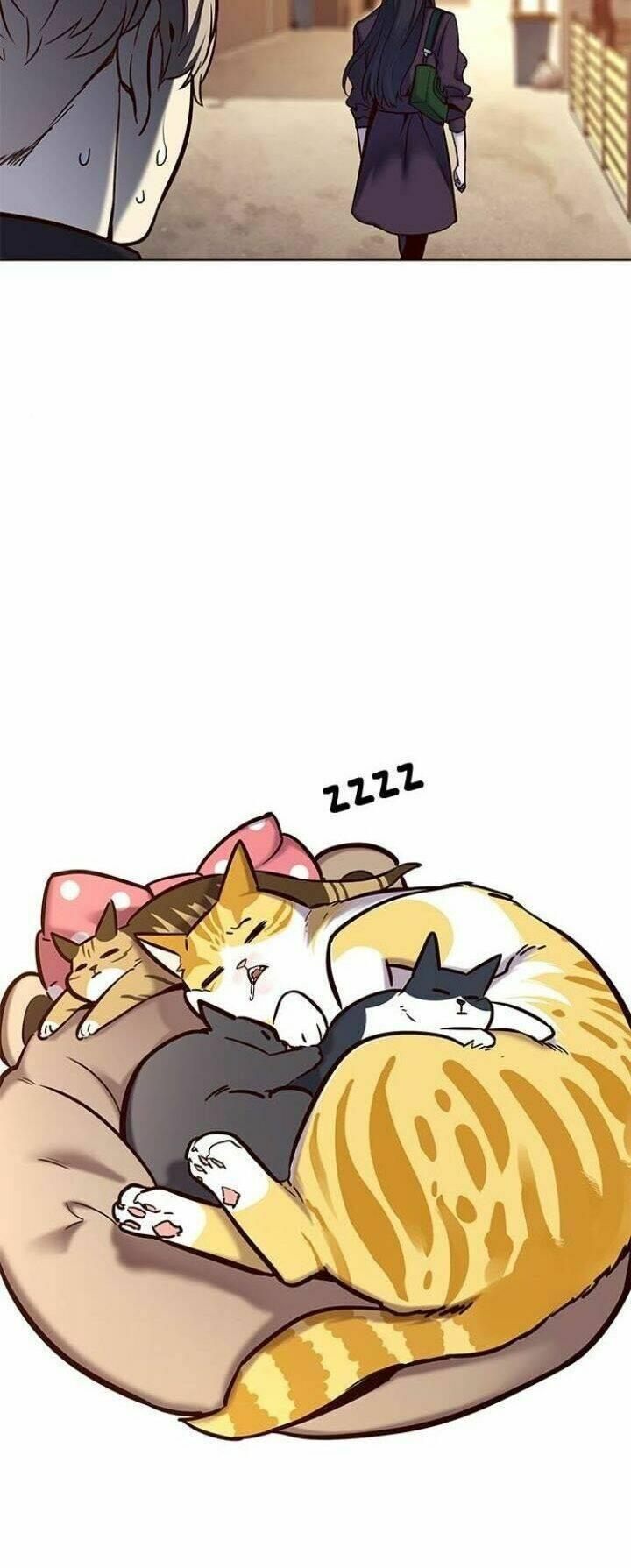 biến thân thành mèo chapter 117 66
