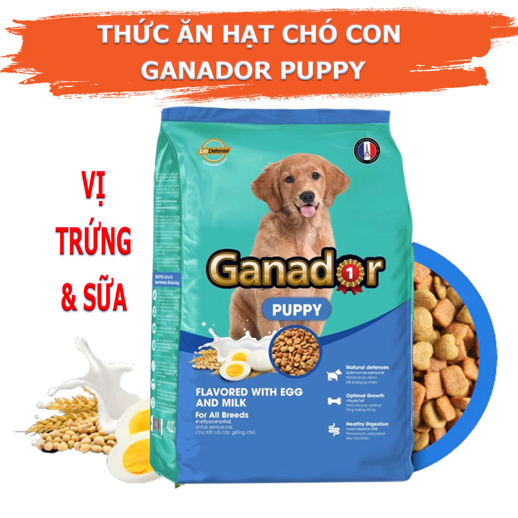 COMBO 5 Gói Thức Ăn Hạt Cho Chó Con Vị Trứng Và Sữa Ganador Puppy Egg &amp; Milk Gói 400g - YonaPetshop