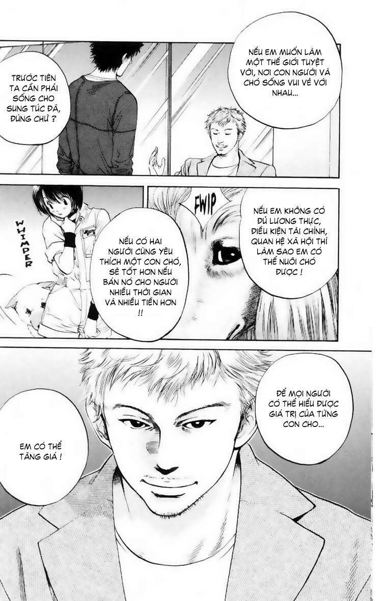 cô nàng yêu chó chapter 11 11