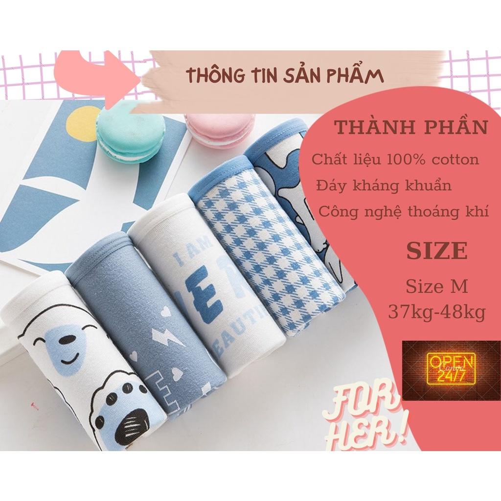 Quần lót cotton nữ dễ thương mẫu gấu bắc cực