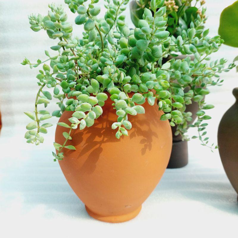 Chậu đất nung Bình Dương - Chum cao, miệng chậu 14cm, chiều cao 20cm