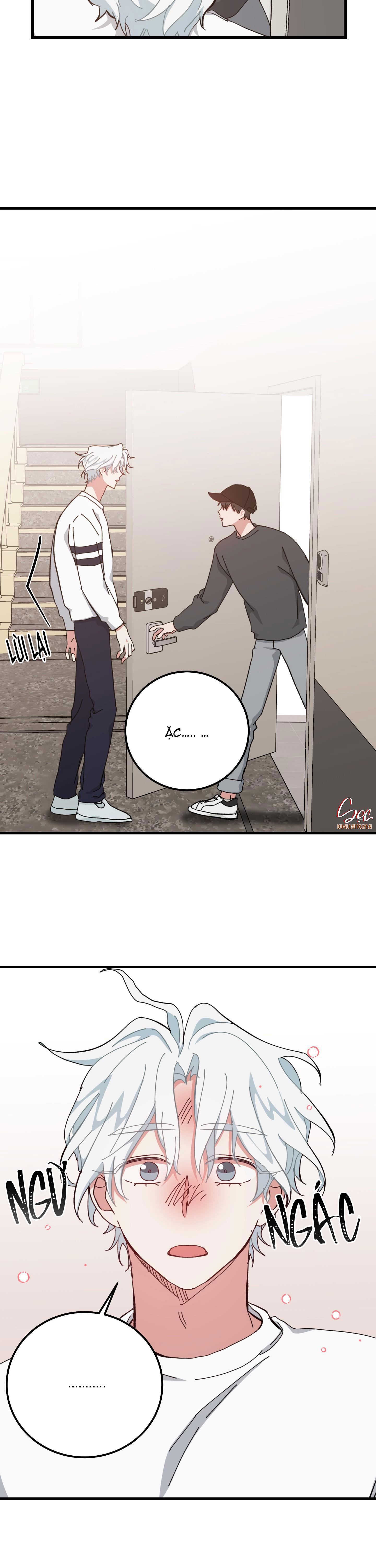 yêu tôi đi, thần hộ mệnh chapter 40 5