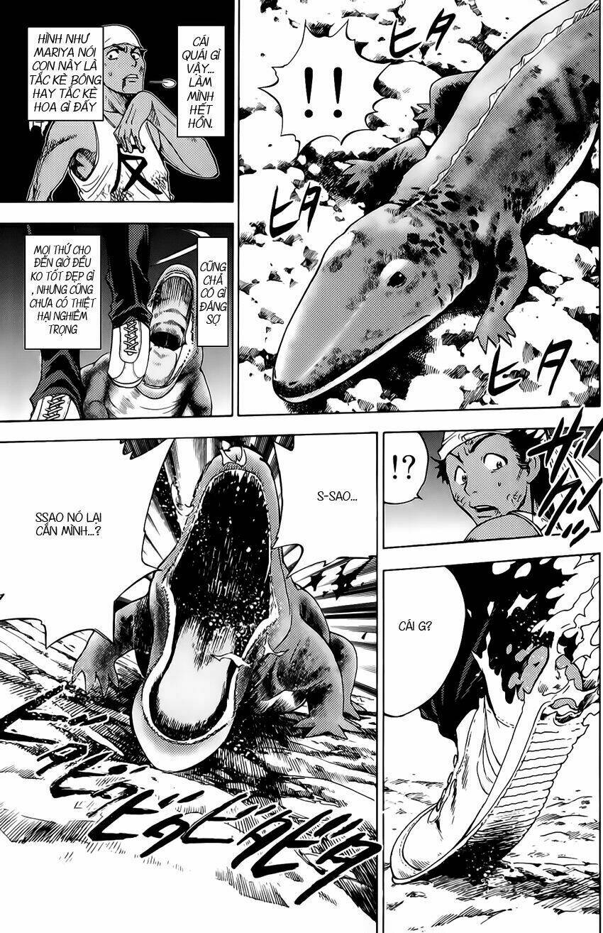 cage of eden chapter 33 17