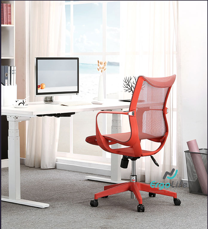 GHẾ CÔNG THÁI HỌC ERGONOMIC M77