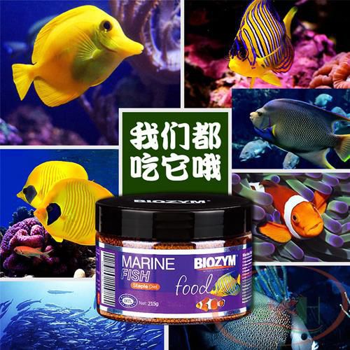 Thức ăn cá biển Biozym Marine Fish Food BD1101 hạt tăng trưởng màu sắc cá biển