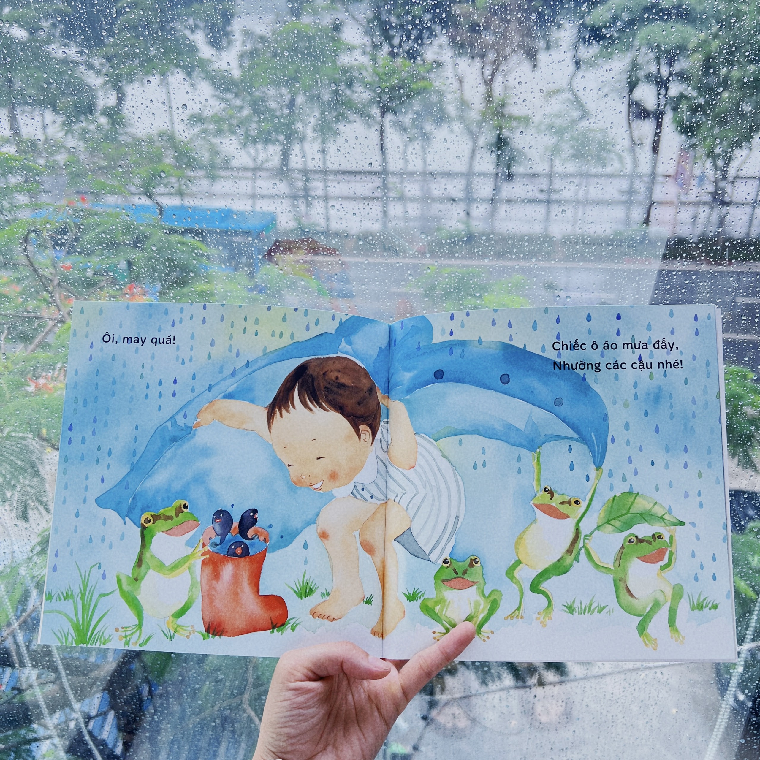 Truyện Ehon bé 1-2-3 tuổi - Đi dạo dưới mưa