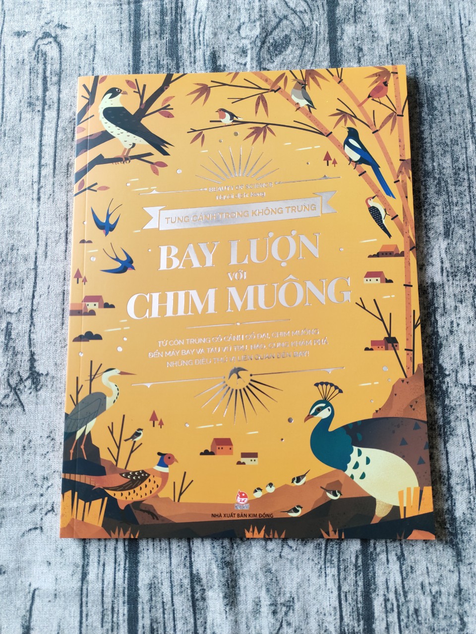 Tung Cánh Trong Không Trung - Bay Lượn Với Chim Muông