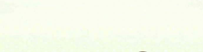 ike loli chapter 13 17