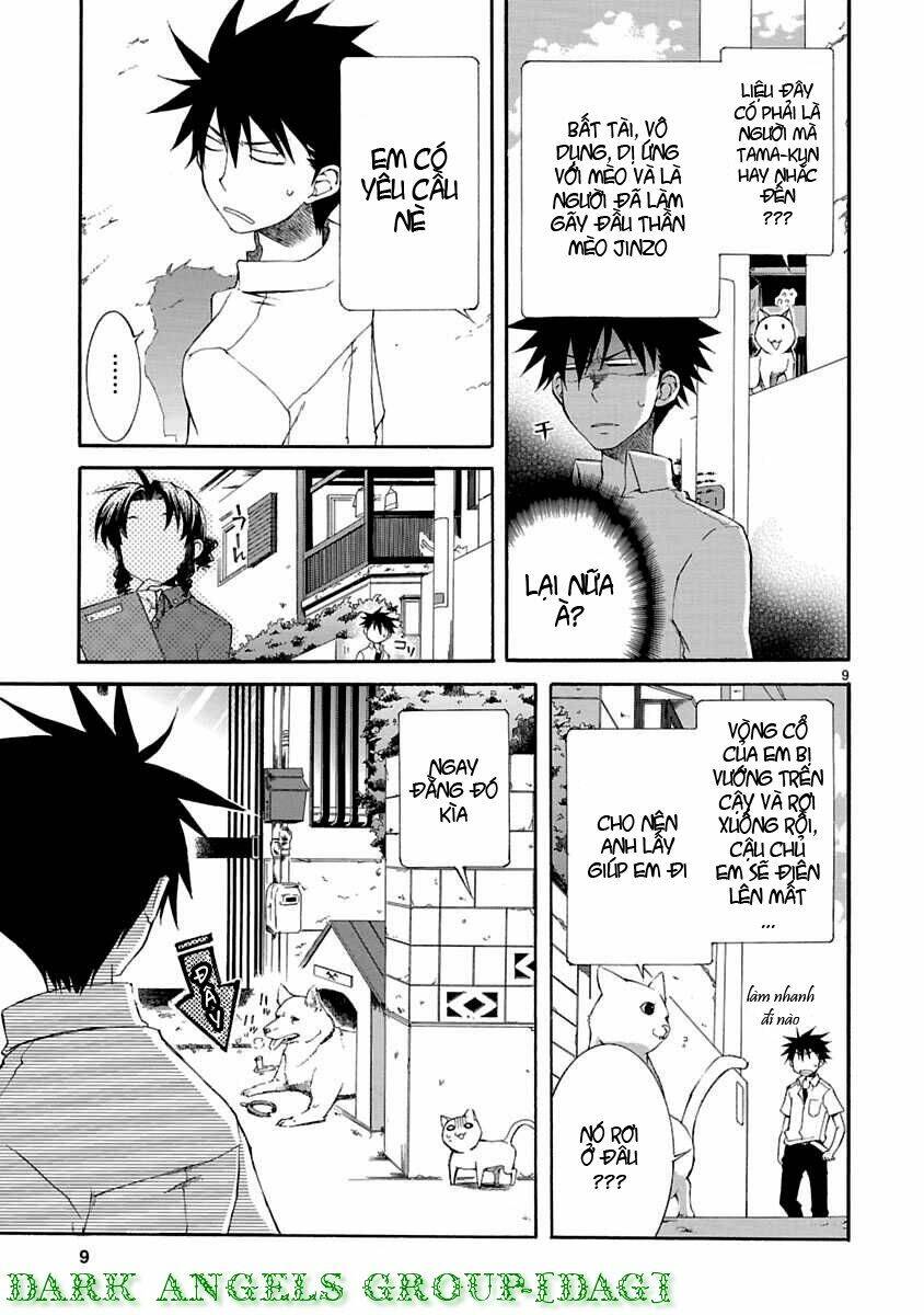 nyankoi! chapter 10 11